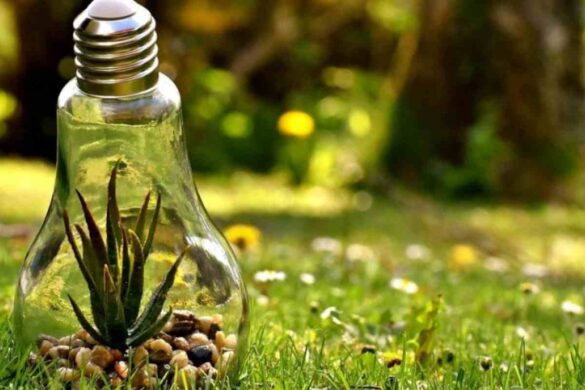 Can technology save nature