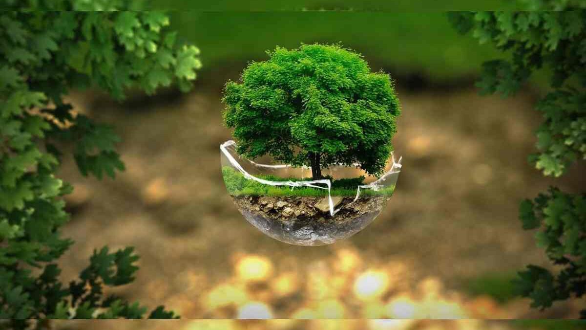 Effects of the use of technology on nature