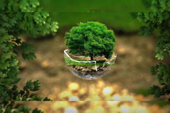 Effects of the use of technology on nature