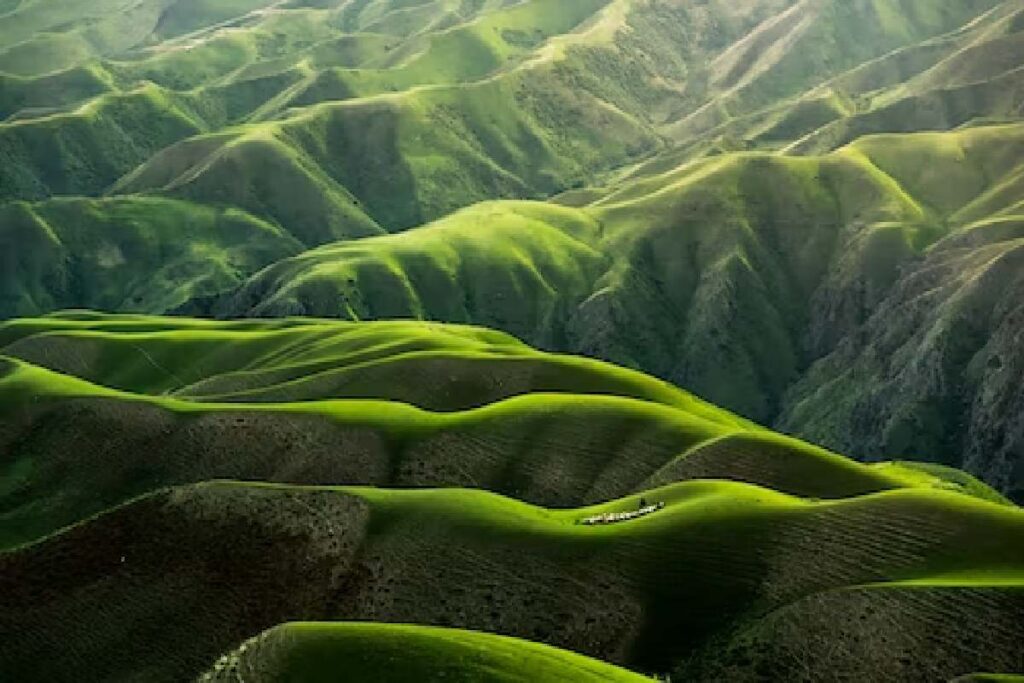 Effects of the use of technology on nature