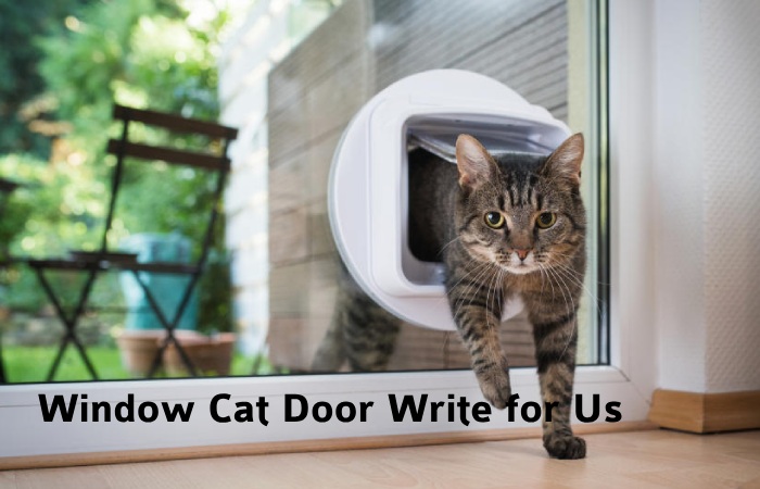 Window Cat Door Write for Us