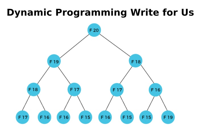 Dynamic Programming Write for Us