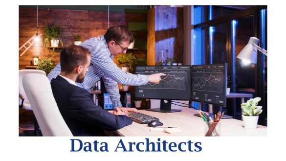 Data Architects