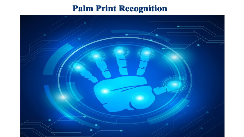 Palm Print Recognition