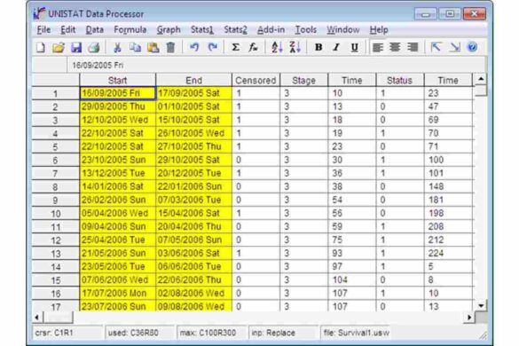 Spreadsheet